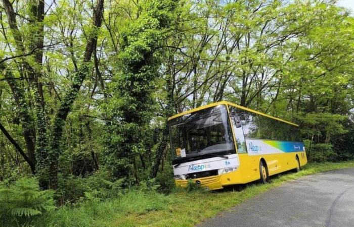 A bus in the ditch, seventeen young people evacuated in Maine-et-Loire