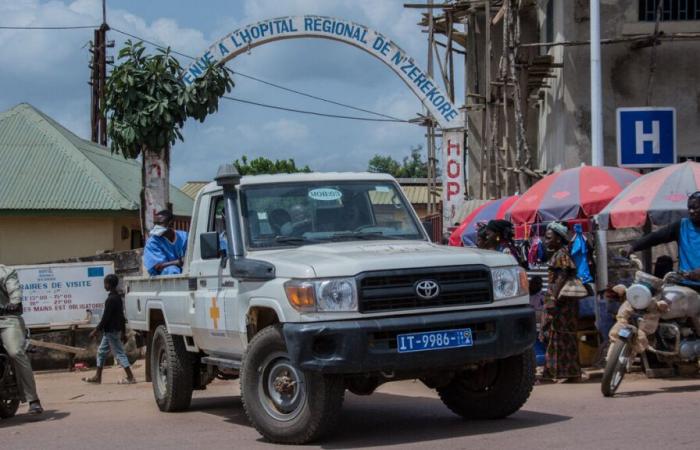 Guinea: at least 56 dead in a crowd movement during a football match