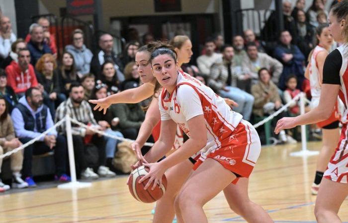 Amateur basketball – Women's national 3: the Auscitaines come close to the feat in the Landes against the Coteaux du Luy