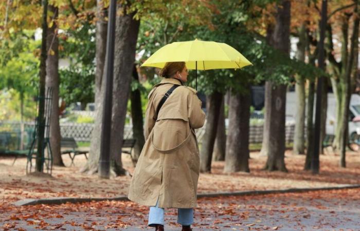 Less rain than usual, North South contrast for the sun and temperatures: what was the weather like in November?