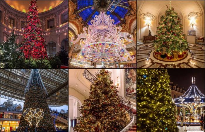 Top 10 of the most beautiful Christmas trees in Paris 2024: enough to put glitter in your eyes