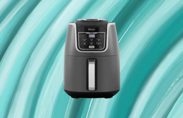 This Ninja oil-free fryer is at a great price on the official Ninja store: last hours