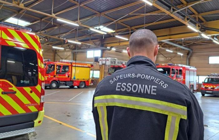 Essonne: the body of a woman discovered in a pond in Saulx-les-Chartreux