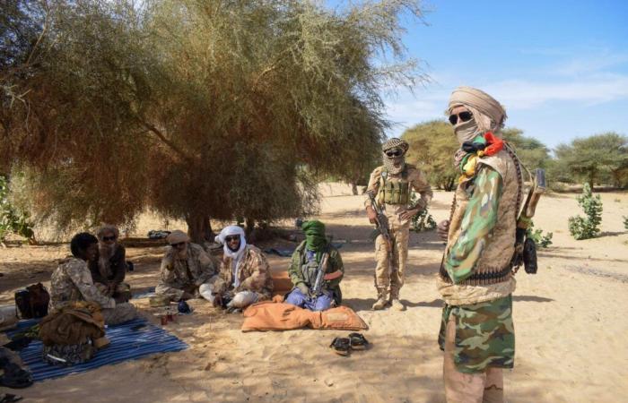 In Mali, Azawad rebel leaders unite and suffer deadly bombardment