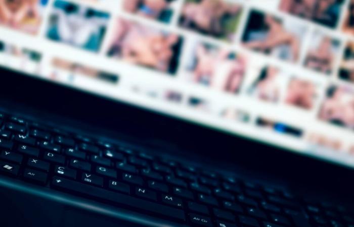 In France, the blocking of porn sites turns into a fiasco