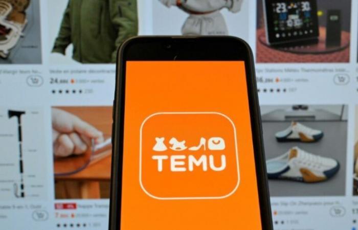 Online commerce: France is Temu's second European market, behind Germany