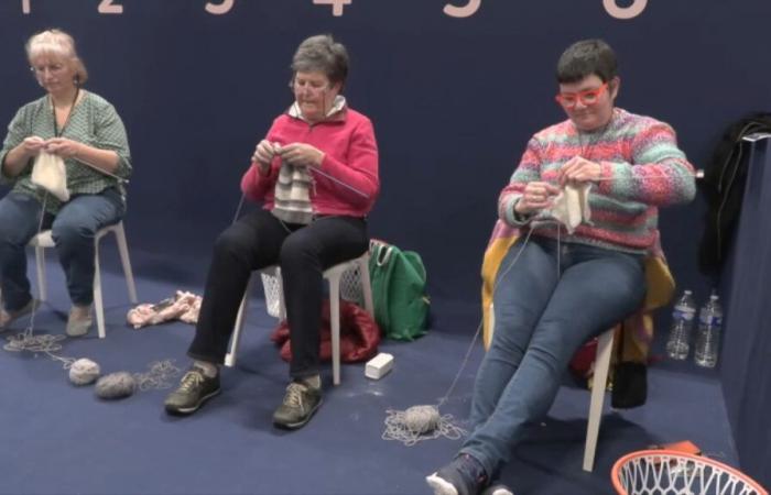 The French knitting speed champion dethroned after 9 years of reign