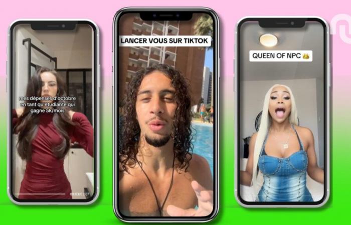 “10,000 euros in three months”: is the remuneration for TikTok views really colossal?