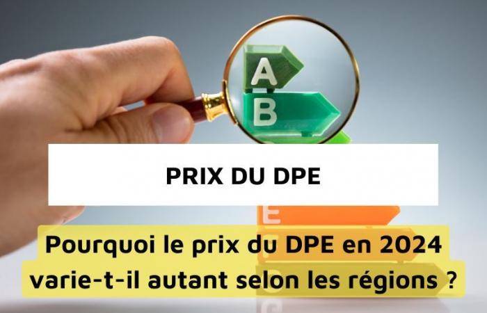 Why does the price of DPE in 2024 vary so much depending on the region?