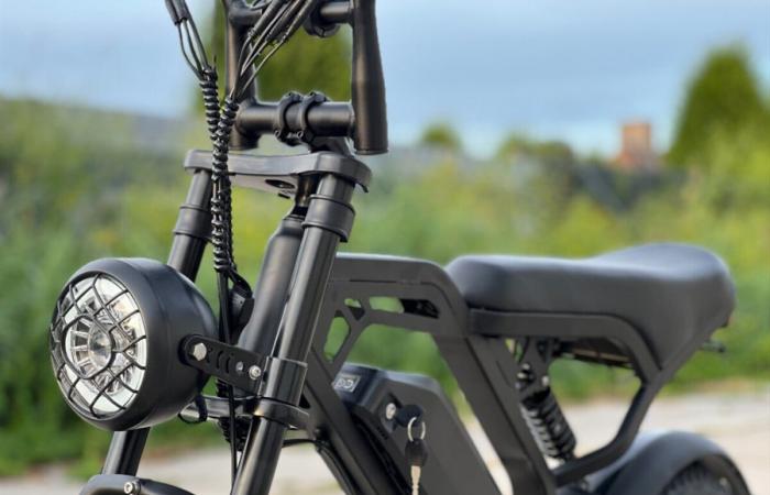 These figures show how illegal electric fatbikes have appealed to the Dutch