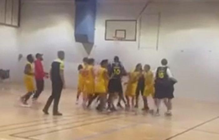 Basketball: “Gorilla cries” or “barks”, what happened Friday evening during the Mende – Rodez III match?