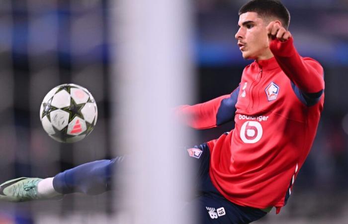 Ligue 1 – J13: Two new Lille residents on reprieve, the card point after Montpellier HSC – LOSC