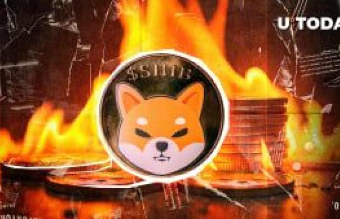 Shytoshi Kusama Triggers SHIB Army With 1 Billion USD Wallet SHIB Burn Tweet