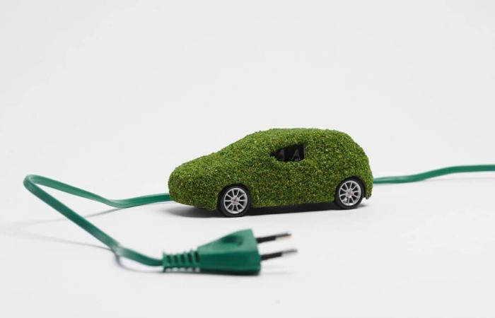 hard blow for electric cars in France