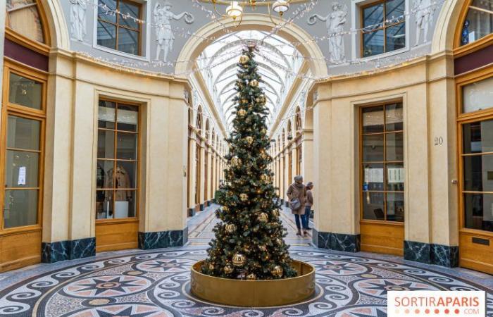 10 great Christmas photo spots in Paris 2024 to enjoy the magical illuminations