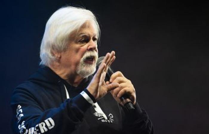 Detention of environmental activist Paul Watson in Greenland extended until December 18