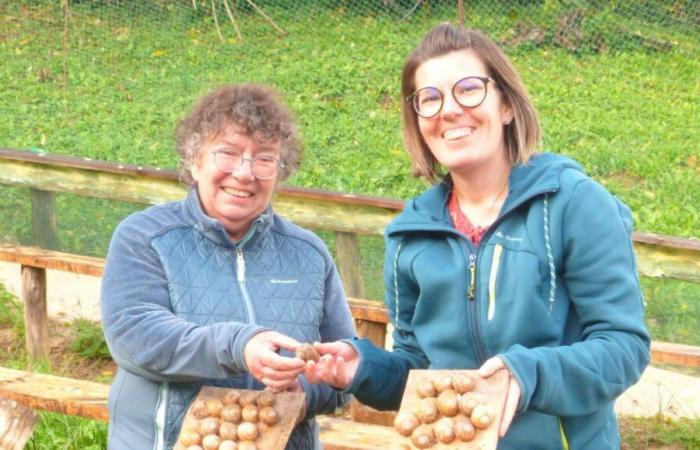 Pays de Clerval (25) Emilie Staub of Escargots de Montfort