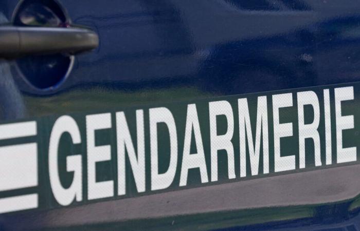 the gendarmerie launches a call for witnesses after the worrying disappearance of a septuagenarian