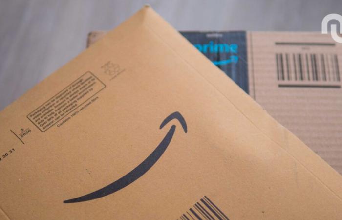 Rachida Dati wants to force Amazon to charge for book delivery