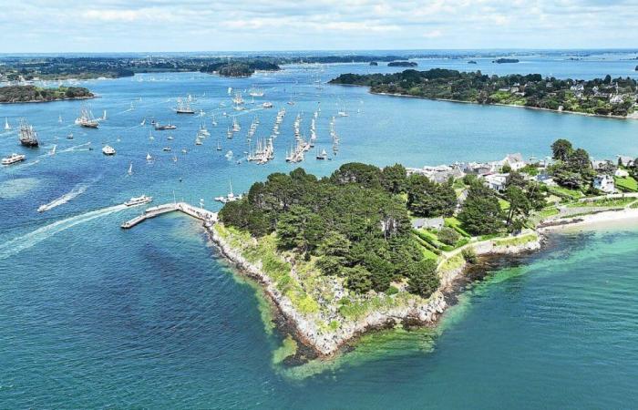 Morbihan hydro energy liquidated, its tidal project in the buried gulf