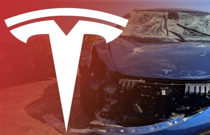 Tesla announces its end-of-year update, with a watchOS app and many other new features