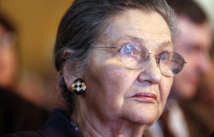 Paris: a work with the face of Simone Veil deteriorated in front of the Shoah Memorial