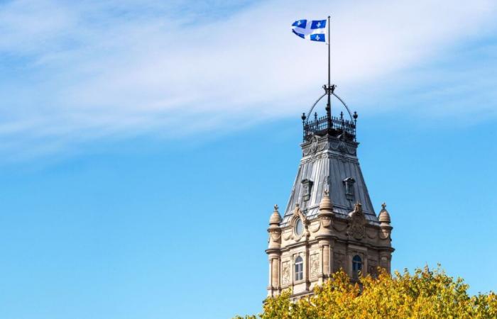 Yes to the project to establish the Constitutional Council of Quebec