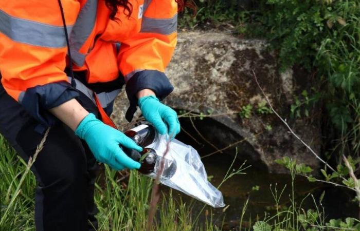 WEST-FRANCE INFO. These factories and sites which discharge eternal pollutants into the waters