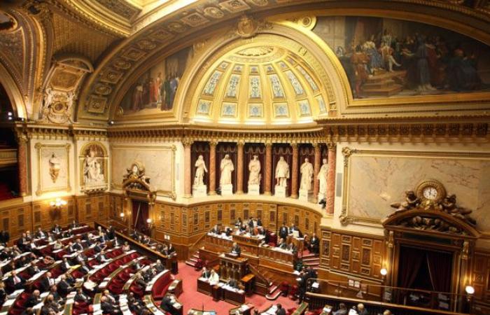 The Senate votes in favor of the reindexation of the territorial continuity grant