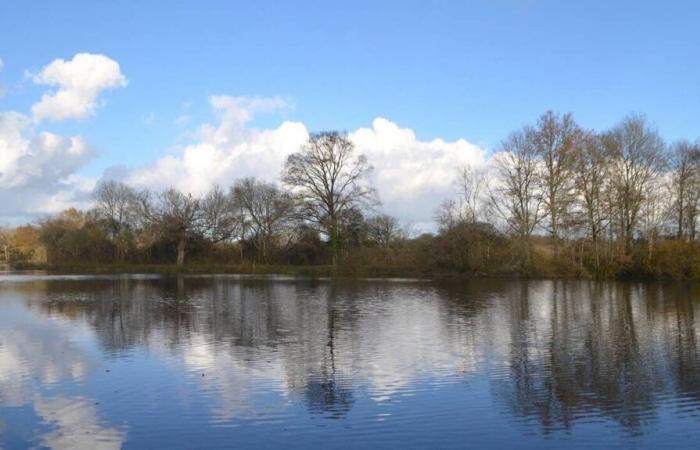 A new chain ferry will connect two small towns in Loire-Atlantique