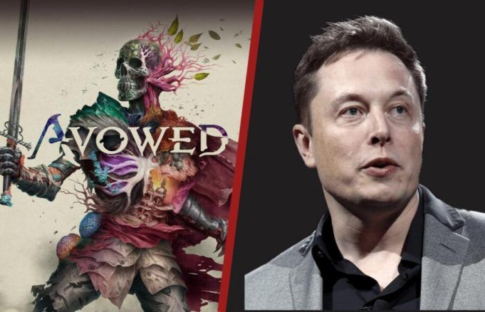 “Totally unacceptable” Elon Musk acts like Elon Musk and attacks Avowed, Obsidian's future RPG