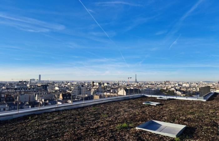 in Paris, La Poste is transforming its old sorting centers into unique living spaces