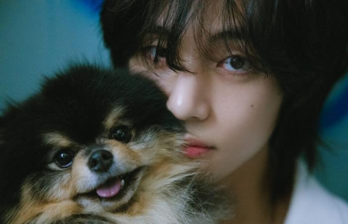 BTS’s V Announces The Passing Of His Dog Yeontan