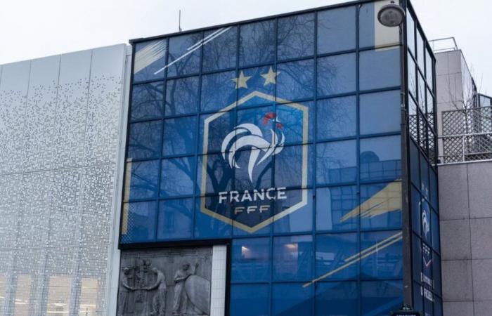 the French Football Federation condemned by the Court of Appeal for “failure to fulfill its security obligations”