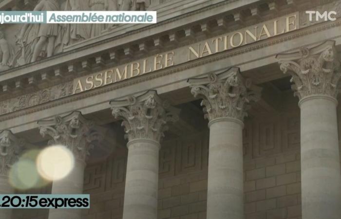 8:15 p.m. Express – Activation of 49.3: immersion within the National Assembly – Daily