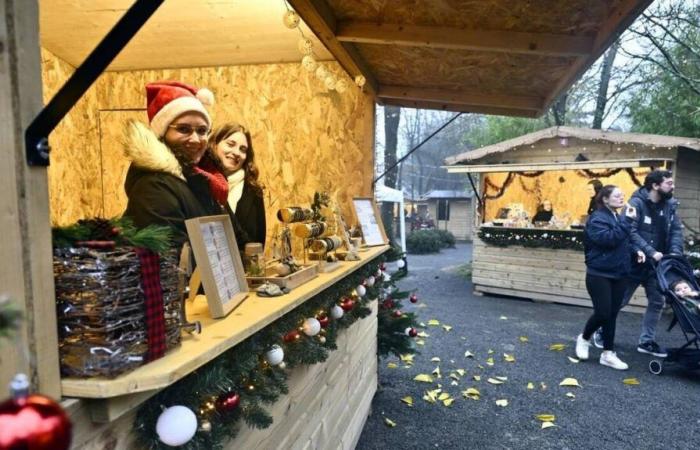 PHOTOS. A Christmas market among the animals of a zoo in Loire-Atlantique