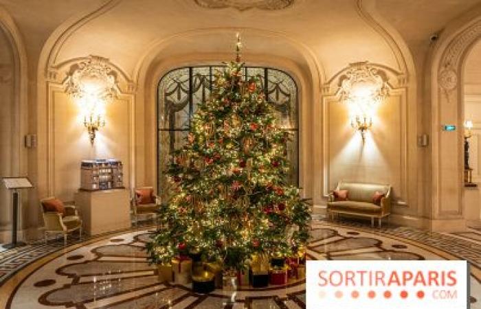 Top 10 of the most beautiful Christmas trees in Paris 2024: enough to put glitter in your eyes