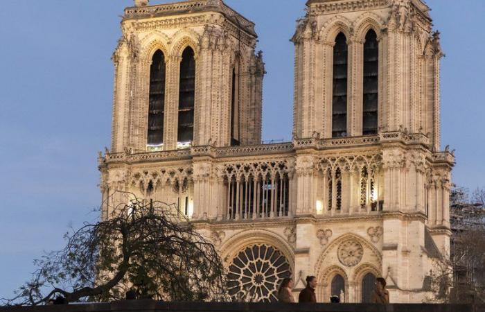 Reopening of Notre-Dame de Paris: when will we be able to visit the cathedral again and how to go about it?