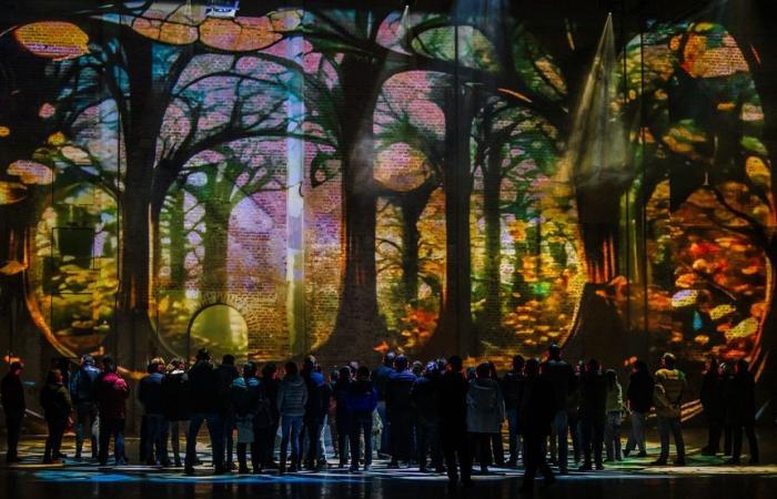 Moselle: “La Halle aux Lumières”, a fabulous immersive and sensory tale