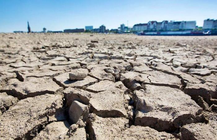 Droughts cost nearly 300 billion euros per year