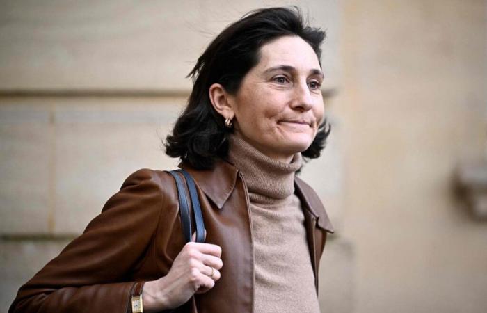 After Noël Le Graët's withdrawal, former sports minister Amélie Oudéa-Castéra will not be judged for defamation