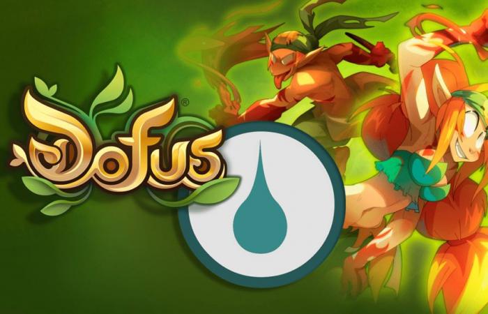 Guide to the best Water Sacrier stuff on Dofus Unity