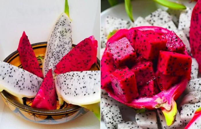 Moroccan pitaya reaches good prices this season