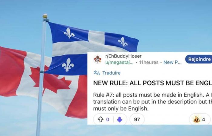 Things are brewing on Reddit: a group finds that there are too many publications from Quebecers and bans French