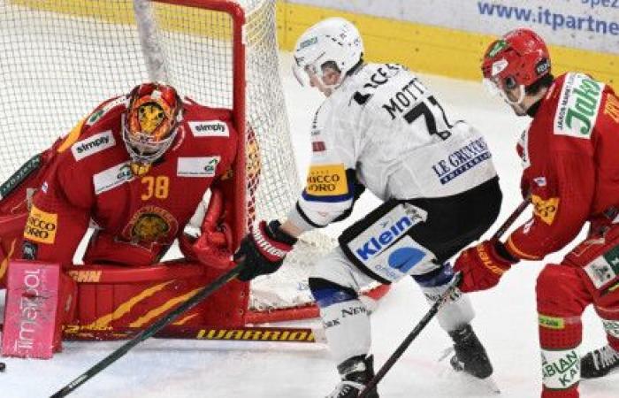 Fribourg-Gottéron: you don’t change a winning team