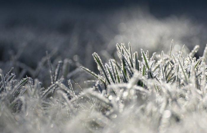 MAP. Towards minimal negative news in Aveyron? What Météo France forecasts, Wednesday morning