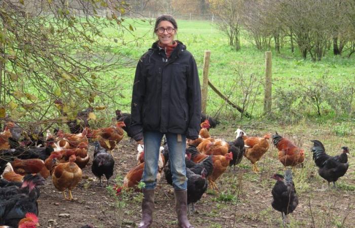 poultry reconfined but open-air breeders resist in Deux-Sèvres