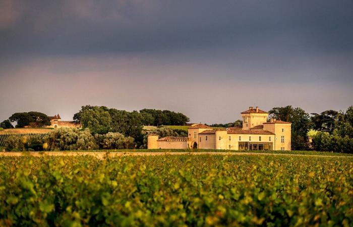 The golden age of Sauternes