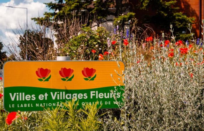 2024 ranking of Towns and Villages in Flowers in Oise