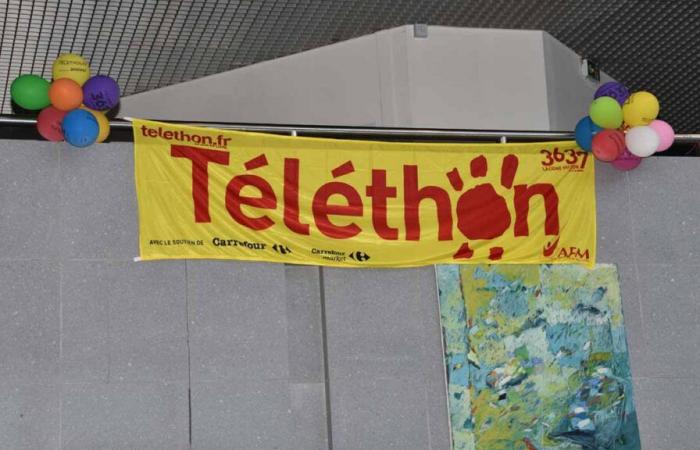 Val-d'Oise: the Telethon raises 371,798 euros for genetic research